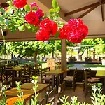 Bercu Paradise